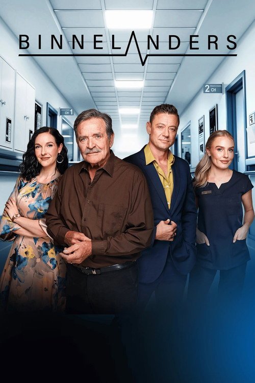 Poster di Binnelanders