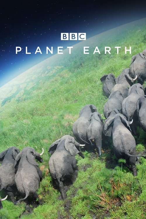 Poster di Pianeta Terra
