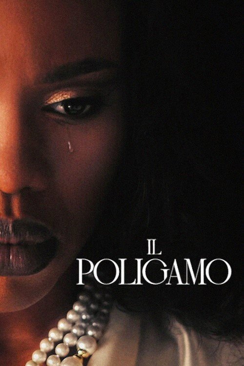 Poster di Il Poligamo