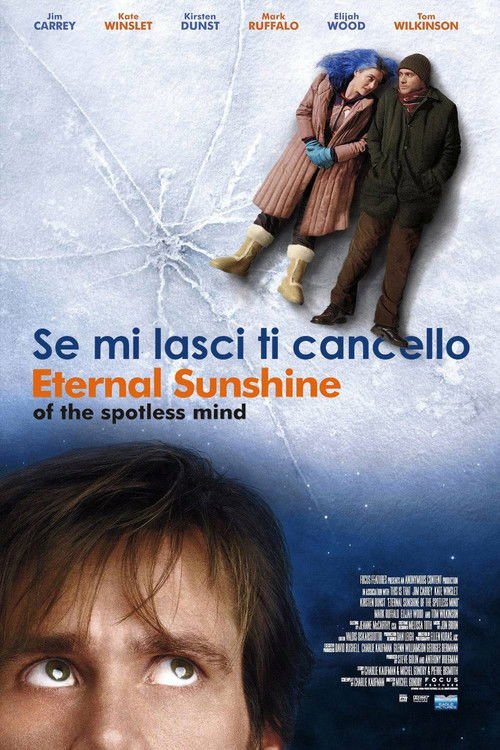Poster di Se mi lasci ti cancello