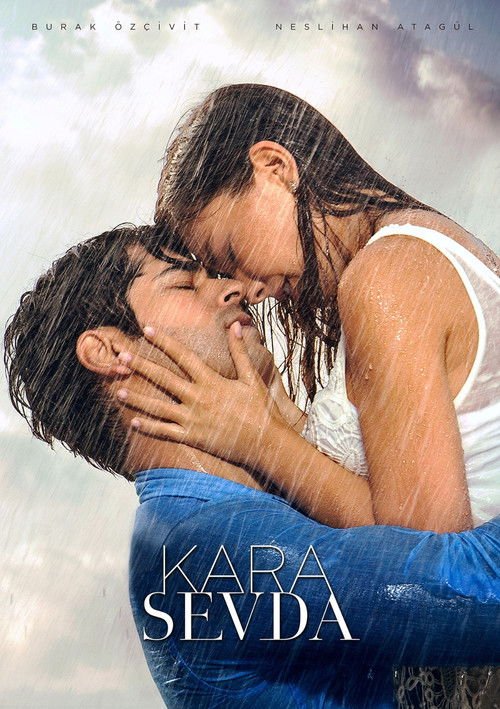 Poster di Endless Love