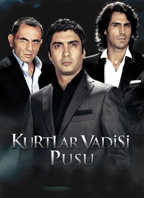 Poster di Kurtlar Vadisi: Pusu